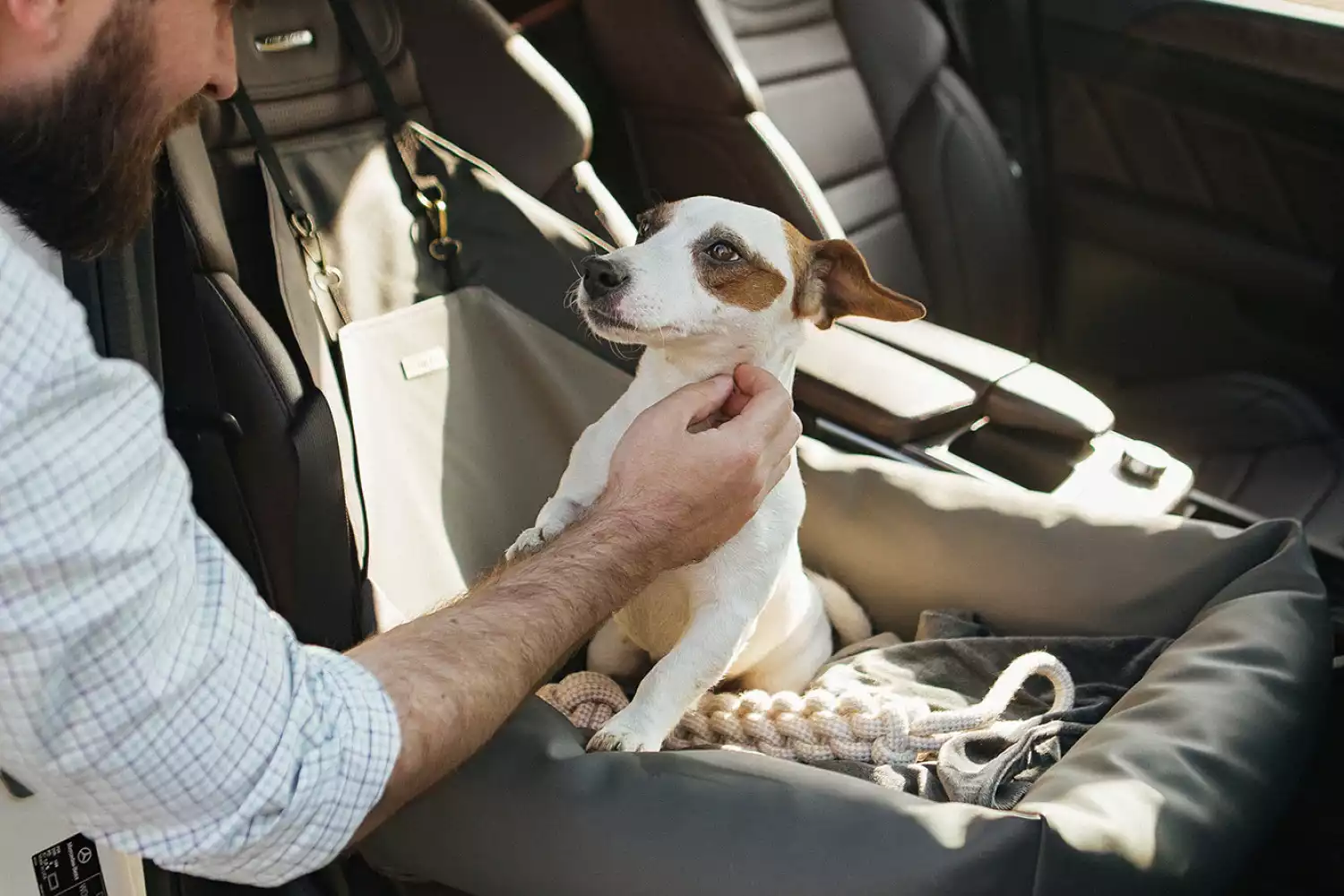 Ford Edge Dog Car Seat for Cairn Terriers