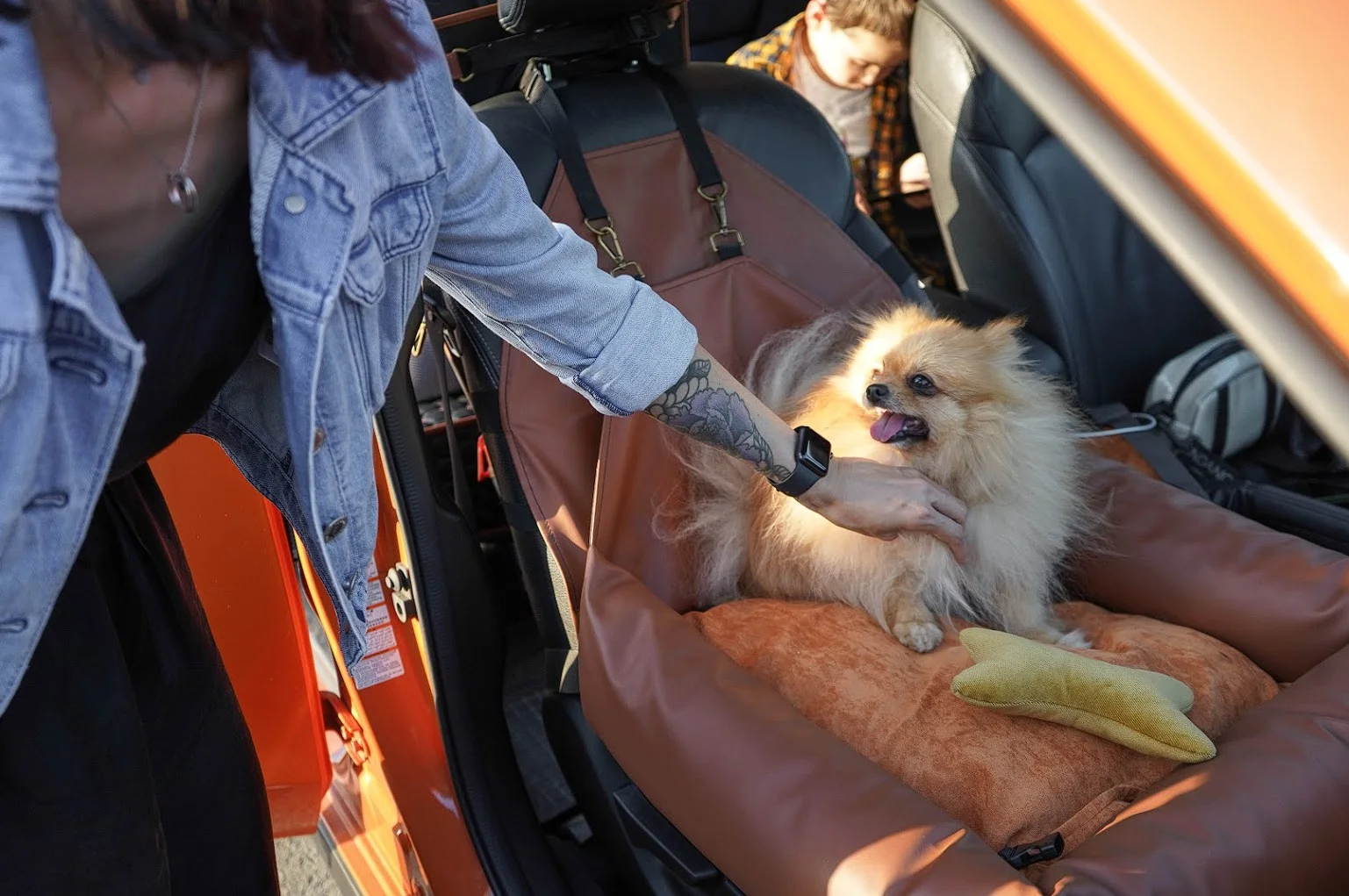 Welsh Terriers Dog Car Seat for Honda Odyssey